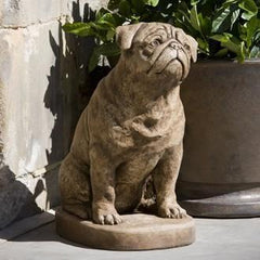 Photo of Campania Mugsy - Marquis Gardens