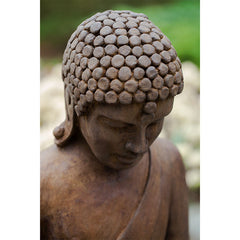 Photo of Campania Lotus Buddha - Marquis Gardens