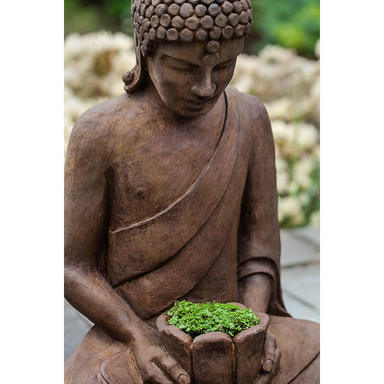 Photo of Campania Lotus Buddha - Marquis Gardens
