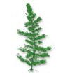 Photo of Oxygenator Hornwort  - Marquis Gardens