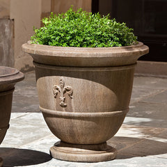 Photo of Campania Fleur de Lis Urns - Marquis Gardens