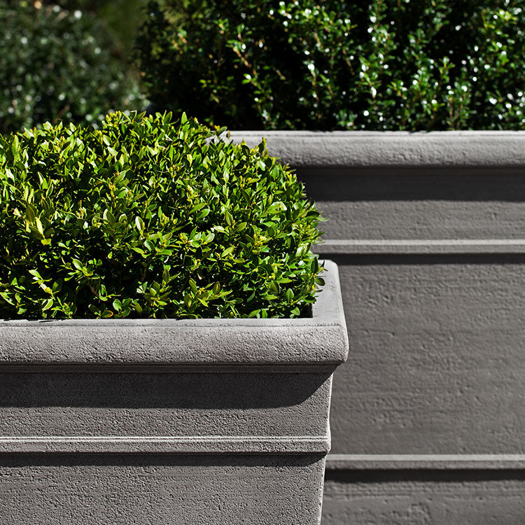 Photo of Campania Marin Planter Small - Marquis Gardens