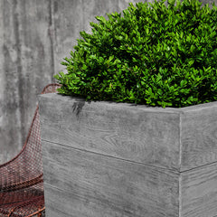 Photo of Campania Chenes Brut Planters - Marquis Gardens