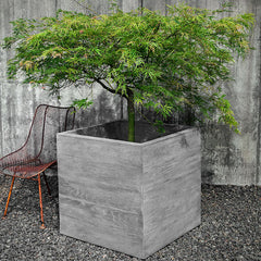 Photo of Campania Chenes Brut Planters - Marquis Gardens