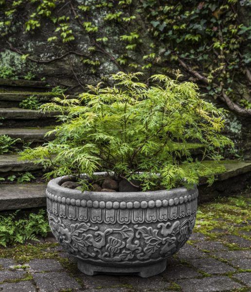 Photo of Campania Jaipur Bowl - Marquis Gardens