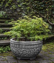 Photo of Campania Jaipur Bowl - Marquis Gardens