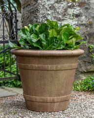 Photo of Campania Certosa Planter - Marquis Gardens