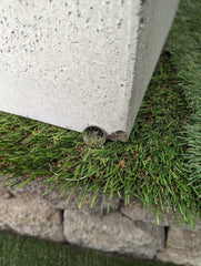 Photo of Campania Laguna Square Planter Medium - Clearance - Marquis Gardens