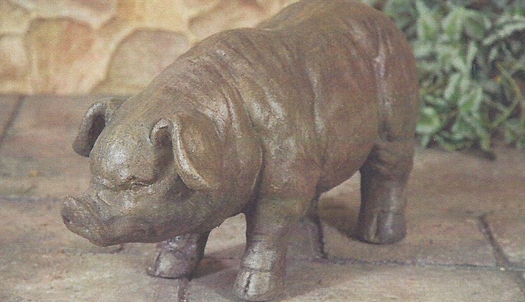 Photo of Pig - Marquis Gardens