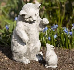 Photo of Campania Playful Kitten - Marquis Gardens