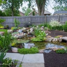 Photo of Aquascape Medium Pond Kit 11' x 16' - Marquis Gardens