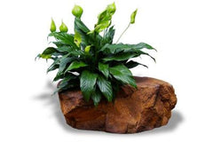 Photo of Pot Rock - 008 by Universal Rocks - Marquis Gardens