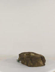 Photo of Pot Rock - 008 by Universal Rocks - Marquis Gardens