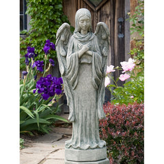 Photo of Campania Autumn Angel - Marquis Gardens