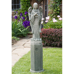Photo of Campania Autumn Angel - Marquis Gardens