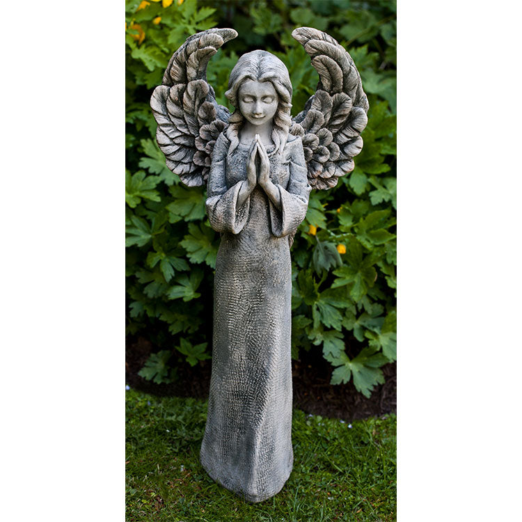 Photo of Campania Fiona's Angel - Marquis Gardens
