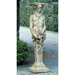 Photo of Campania Tall Satyr - Marquis Gardens