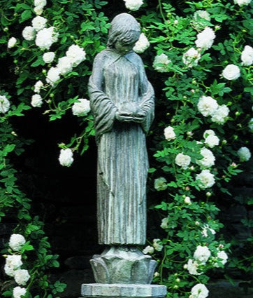 Photo of Campania Wood Nymph - Marquis Gardens