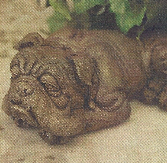 Photo of Small Laying Boxer - Marquis Gardens