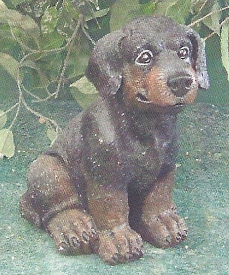 Photo of Small Dog - Marquis Gardens
