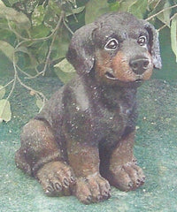 Photo of Small Dog - Marquis Gardens