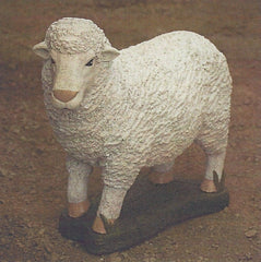 Photo of Standing Sheep - Marquis Gardens