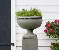 Photo of Campania Williamsburg Tayloe House Urn - Marquis Gardens