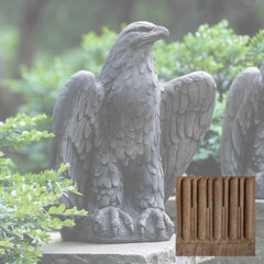 Campania Eagle Looking Left and Right