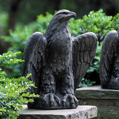 Campania Eagle Looking Left and Right