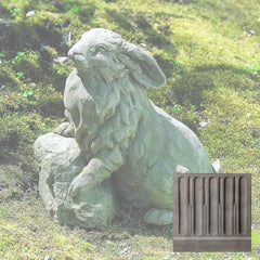 Campania Rabbit on a Rock