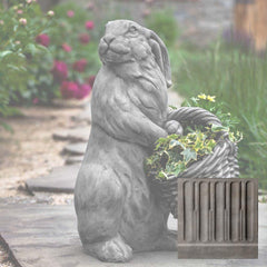 Campania Spring Hare