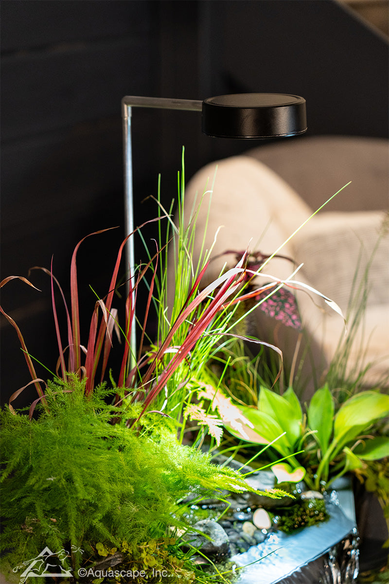 Photo of Aquascape AquaGarden Mini Pond Kit - Aquascape Canada