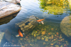 Photo of Aquascape Faux Log Fish Cave - Aquascape Canada