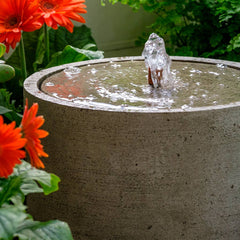 Campania Salinas Fountain