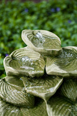 Campania Cascading Hosta Fountain