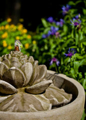 Campania Smithsonian Lotus Fountain