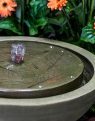 Campania Hydrangea Leaves Garden Terrace Fountain