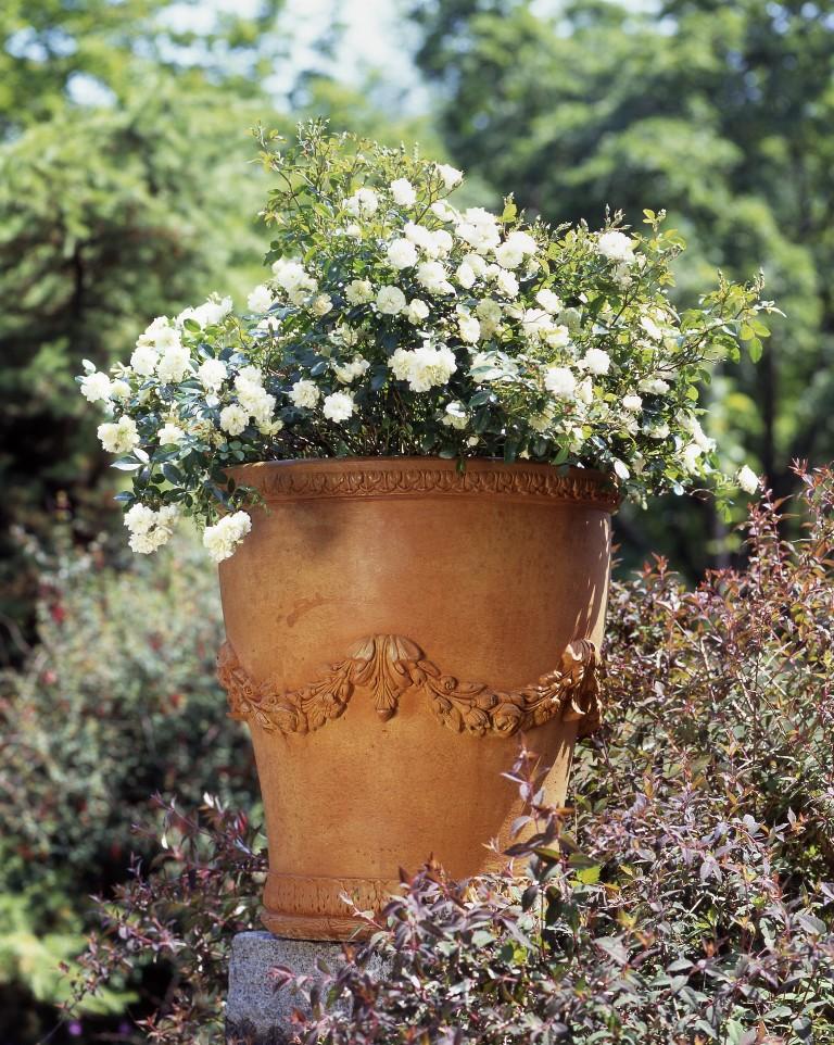 Photo of Gardenstone Almani - Marquis Gardens
