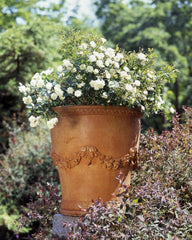 Photo of Gardenstone Almani - Marquis Gardens
