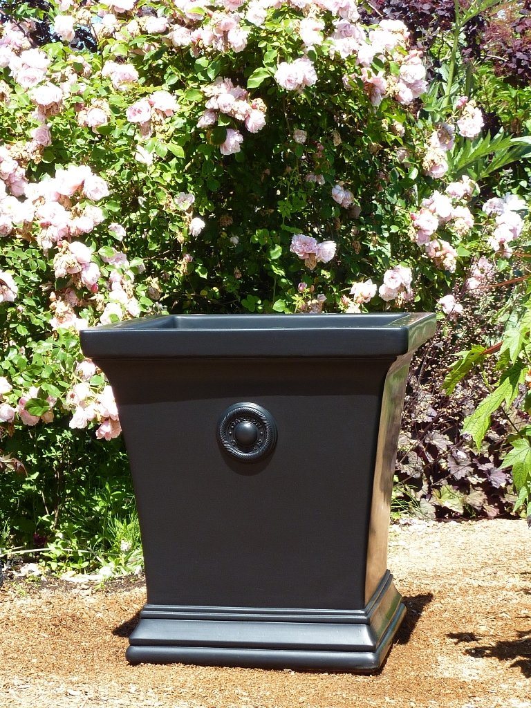 Photo of Gardenstone Aurora - Marquis Gardens
