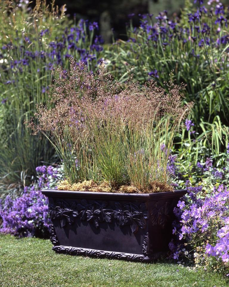 Photo of Gardenstone Leaf Cluster Trough - Marquis Gardens