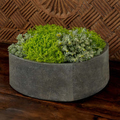 Campania Area Planter
