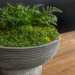 Photo of Campania Calistoga Bowl - Marquis Gardens