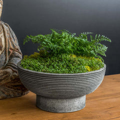 Photo of Campania Calistoga Bowl - Marquis Gardens
