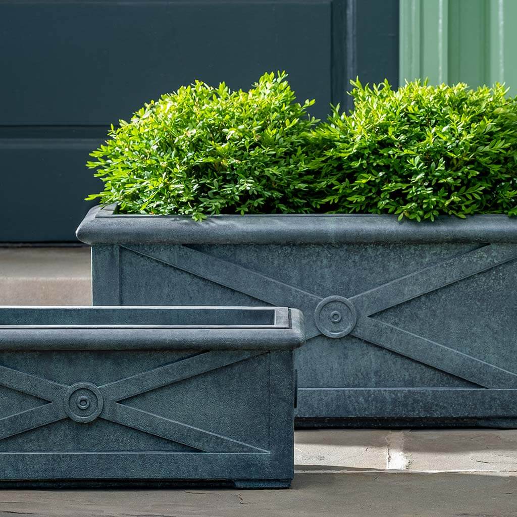 Photo of Campania Directoire Windowbox - Marquis Gardens
