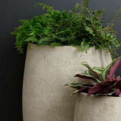 Photo of Campania Bebel Planters - Marquis Gardens