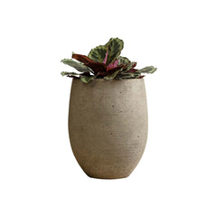 Photo of Campania Bebel Planters - Marquis Gardens
