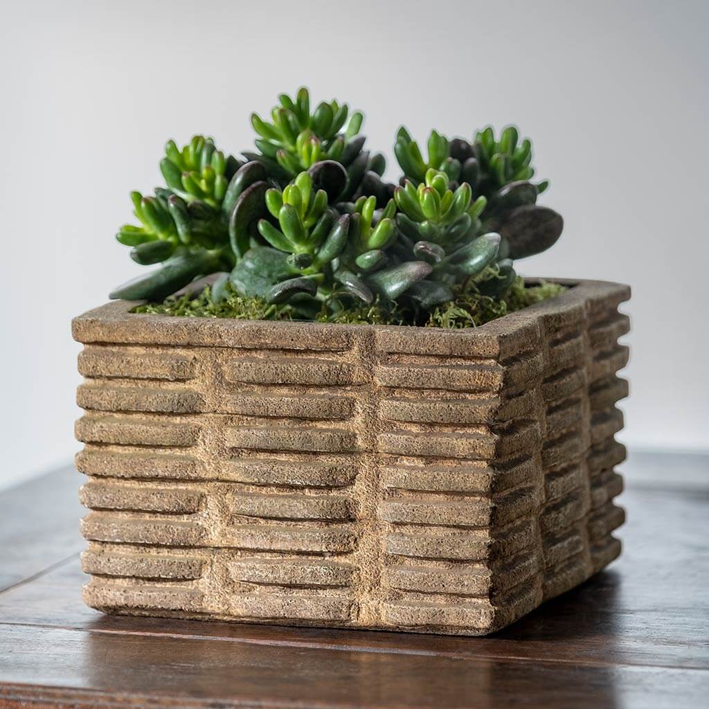 Photo of Campania Weft Planters - Marquis Gardens