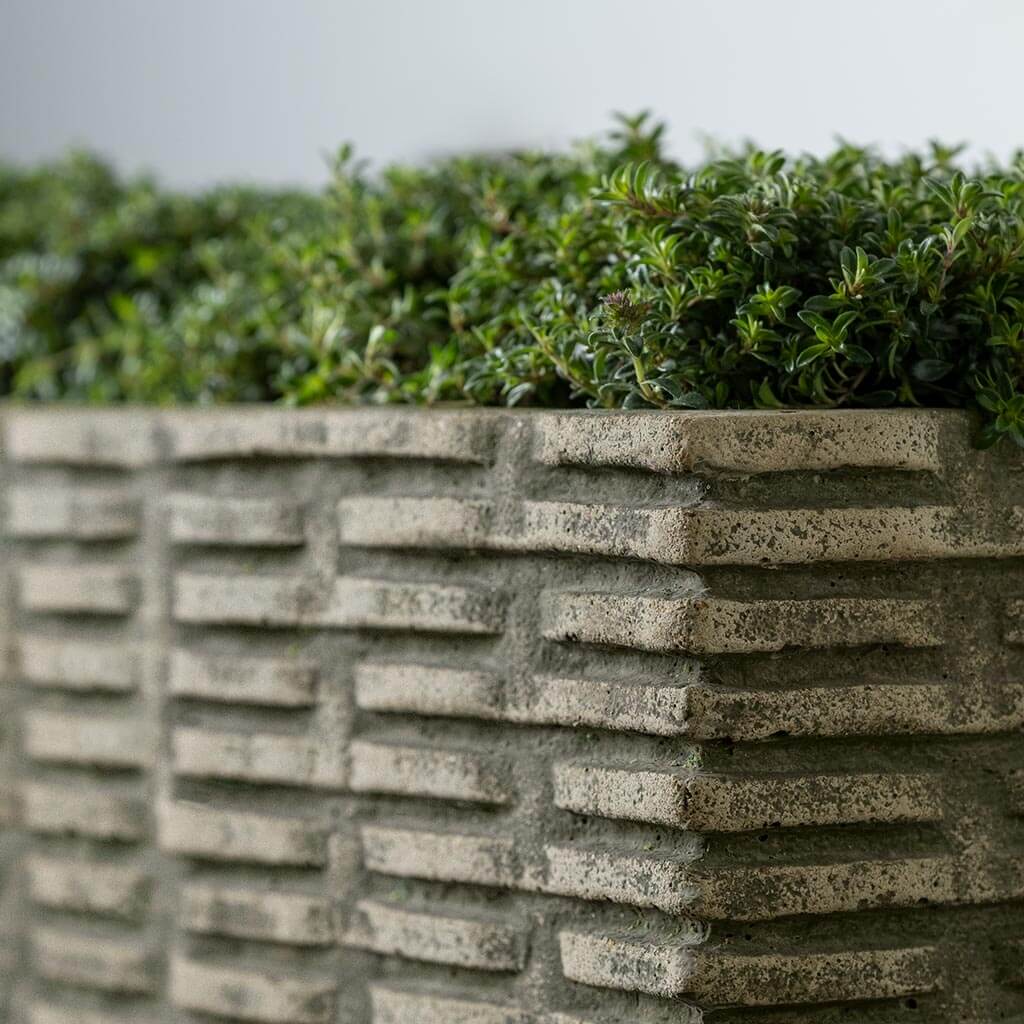 Photo of Campania Weft Planters - Marquis Gardens