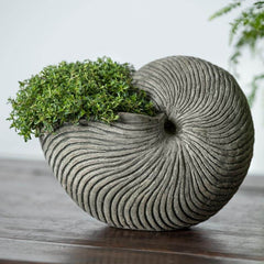 Photo of Campania Ammonite Planters - Marquis Gardens